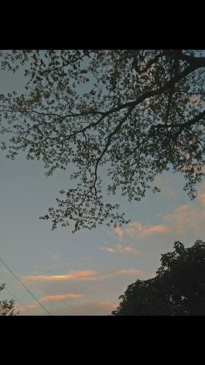 Some image